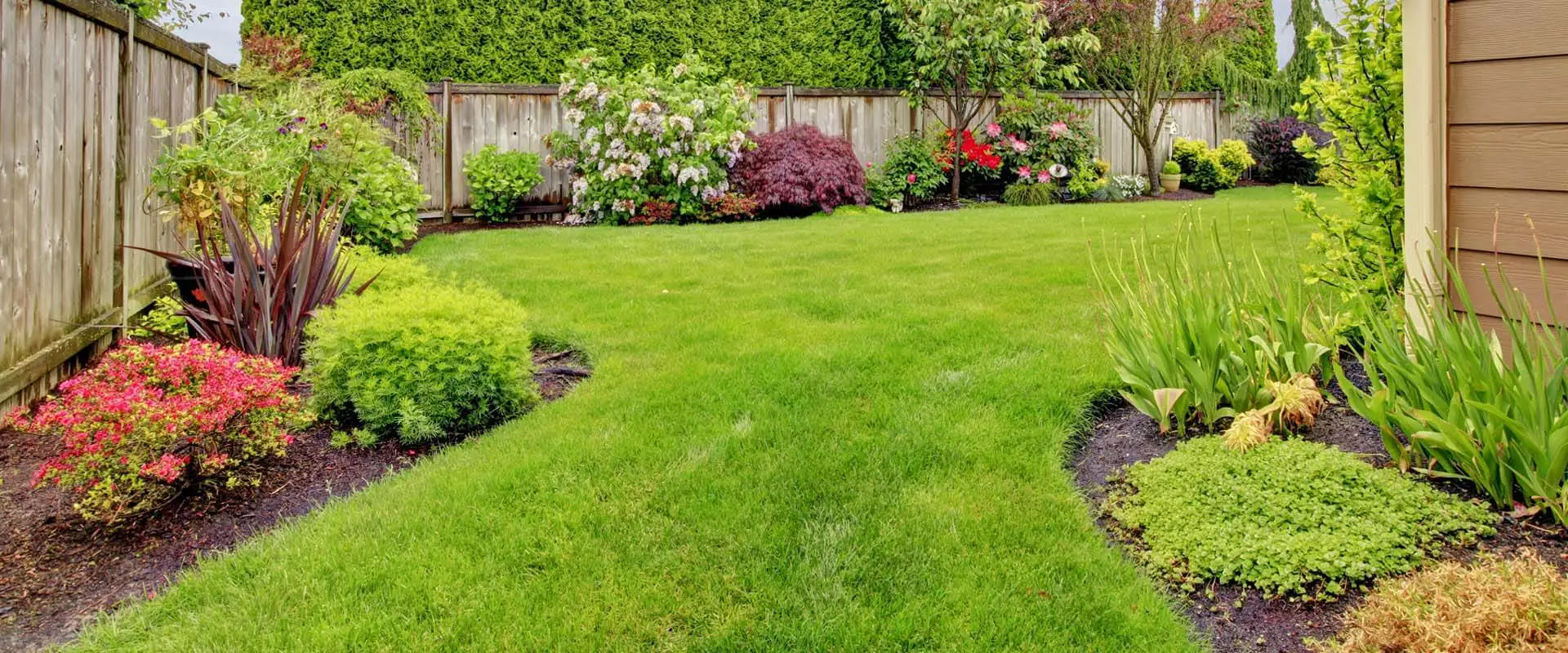 Great lawn clearance care